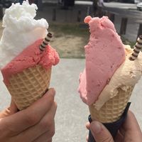 Lemon & blood orange, strawberry & nectarine  at Black Peak Gelato in Wanaka