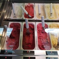 Vegan sorbets at Black Peak Gelato in Wanaka