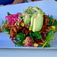 Jackfruit plate  at The Kitchen in Nelson