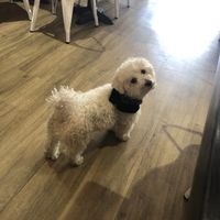 Little Buddha!  at Happy Friday Kitchen  in Oxford