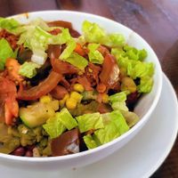 Jackfruit Frito pie bowl at Santa Fe Oxygen and Healing Bar Apothecary in Santa Fe