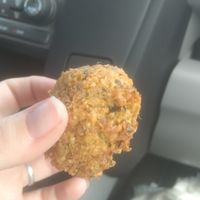 Crunchy and oily falafel at Tabouli in Warren