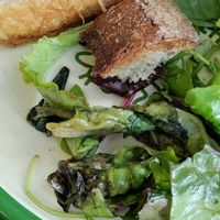 The salad greens weren't fresh 😞 at Aujourd'hui Demain Cafe in Paris