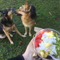Chronic açaí bowl with no banana & no honey  at 3Natives in Stuart