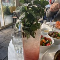 Red mimosa   at Benedict - Ben Yehuda in Tel Aviv