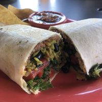 Sofritos burrito  at The Tiny Turtle in Cocoa Beach