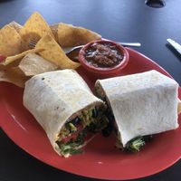   at The Tiny Turtle in Cocoa Beach