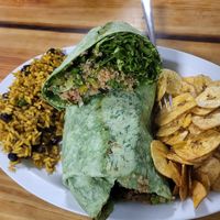  at The Tiny Turtle in Cocoa Beach