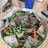 Bowl O’ Plenty - best salad I’ve ever had  at Fox & Fig in Savannah