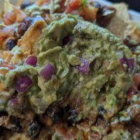 Best loaded nachos i have ever had at Fox & Fig in Savannah