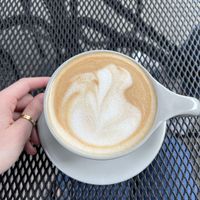   at Fox & Fig in Savannah