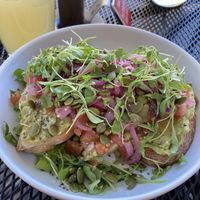   at Fox & Fig in Savannah