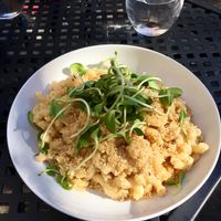 Miyokos Mac and cheese at Fox & Fig in Savannah