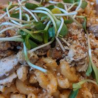 Mushroom Mac & cheese at Fox & Fig in Savannah