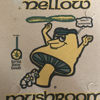 Mellow Mushroom at Mellow Mushroom in Lexington
