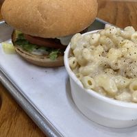 Ole Bleu  at Murray Hillbilly in Jacksonville