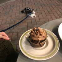 All this ... yes ✌🏽 at Murray Hillbilly in Jacksonville