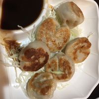 vegetable potstickers at Asian Wind in Lexington