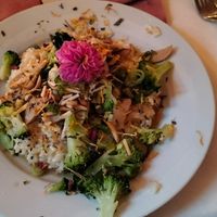 Eine der beiden Hauptspeisenoptionen: Risotto mit Pilzragout, Brokkoli und gerösteten Mandeln at Alex Kitchen in Heide