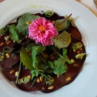 1. Gang: Rote Beete Carpaccio auf Salatbouquet mit gerösteten Pinienkernen at Alex Kitchen in Heide