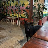 Seating area  at Aleena - Food Stall in Koh Lanta