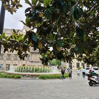 Views from restaurant at Wild Food in Granada