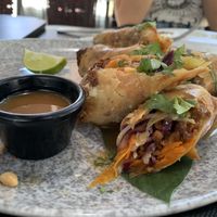 Rollitos vietnamitas  at Wild Food in Granada