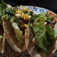 Tacos de Jack fruit at Wild Food in Granada