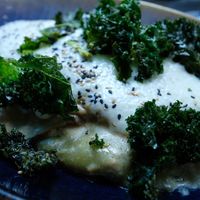 Algas at Wild Food in Granada