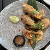 Rollitos vietnamitas  at Wild Food in Granada