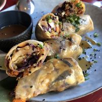 Vietnamese Spring Rolls  at Wild Food in Granada