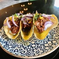 pulled 'pork' tacos made from jackfruit  at Wild Food in Granada