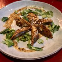 gyozas  at Wild Food in Granada