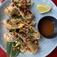 Vietnamese rolls at Wild Food in Granada