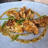 Gyozas at Wild Food in Granada