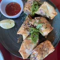 Vietnamese Rolls  at Wild Food in Granada