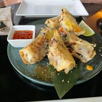 Vietnamese roll at Wild Food in Granada