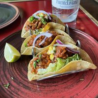   at Wild Food in Granada