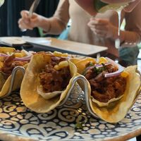   at Wild Food in Granada