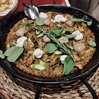 Oven baked arroz! Increíble! Las porciones son perfectas! at Wild Food in Granada