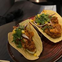   at Wild Food in Granada