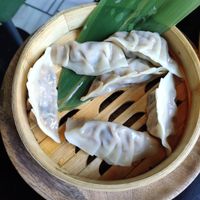 Gyozas at Wild Food in Granada