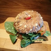 beagle at Wild Food in Granada