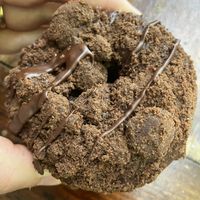 Double chocolate   at Revolution Doughnuts in Atlanta