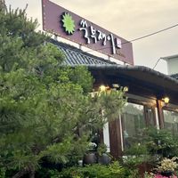   at Ssukbujaeng-i 쑥부쟁이 in Gyeongju