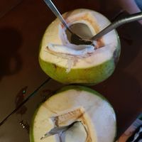 Coconuts! at NumNgern in Khao Sok