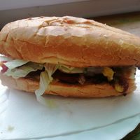 Saving nemo at Govinda's at the Beach in Ao Nang