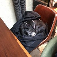 Er war definitiv mit ihm Robuust 🥰  at Robuust Foodies & Goodies in Den Helder