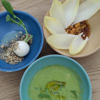 radish (the non-vegan version had a creamy sauce). endive with a soy sauce (was really good even if it was completely different than the non-vegan version, lovely green gazpacho! at De Kas in Amsterdam