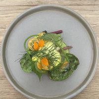   at De Kas in Amsterdam